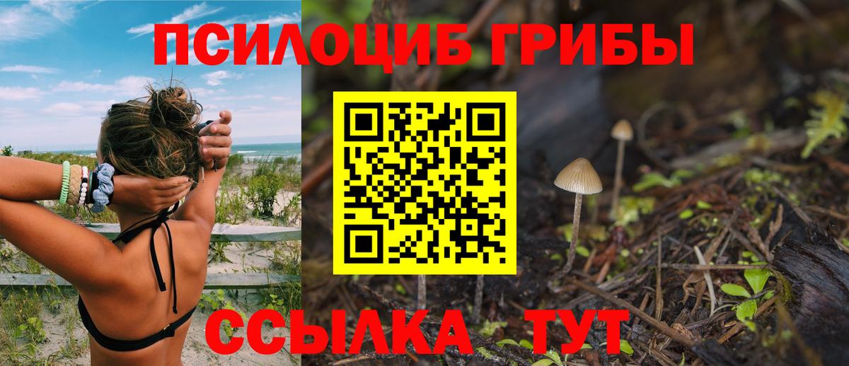 Псилоцибиновые грибы Cubensis  Вход с VPN  наркотики  Прохладный 